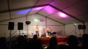 Koncert Severe Gjurin in Mihe Krakerja